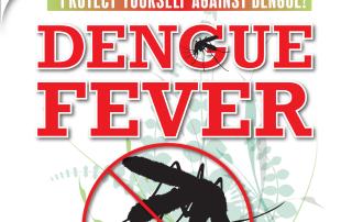 What is Dengue