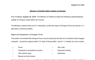 Ministry of Health Public Update on Dengue - August 24, 2024