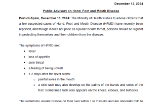 Public Advisory on Hand, Foot and Mouth Disease