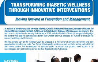 Transforming Diabetic Wellness Through Innovative Interventions