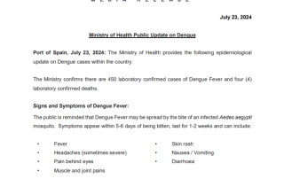 Ministry of Health Public Update on Dengue - July 23, 2024 