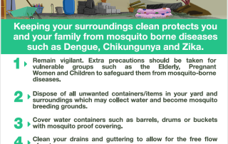 Clean Your Surroundings