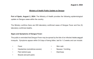 Ministry of Health Public Update on Dengue - August 2, 2024