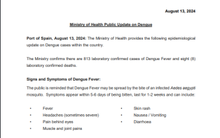 Ministry of Health Public Update on Dengue - August 13, 2024