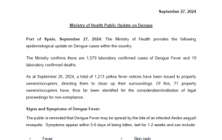 MoH Public Updates on Dengue