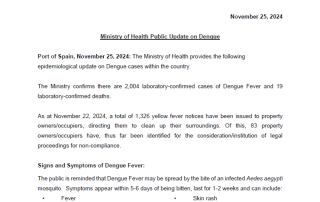 MoH Public Updates on Dengue