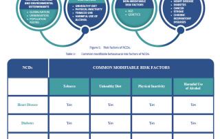 NCD Risk Factors