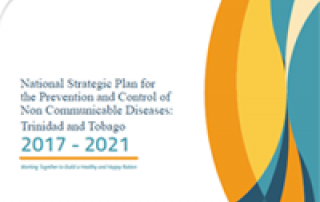 About The National Strategic Plan for the Prevention and Control of NCDs