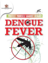 What is Dengue