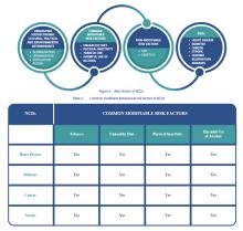 NCD Risk Factors